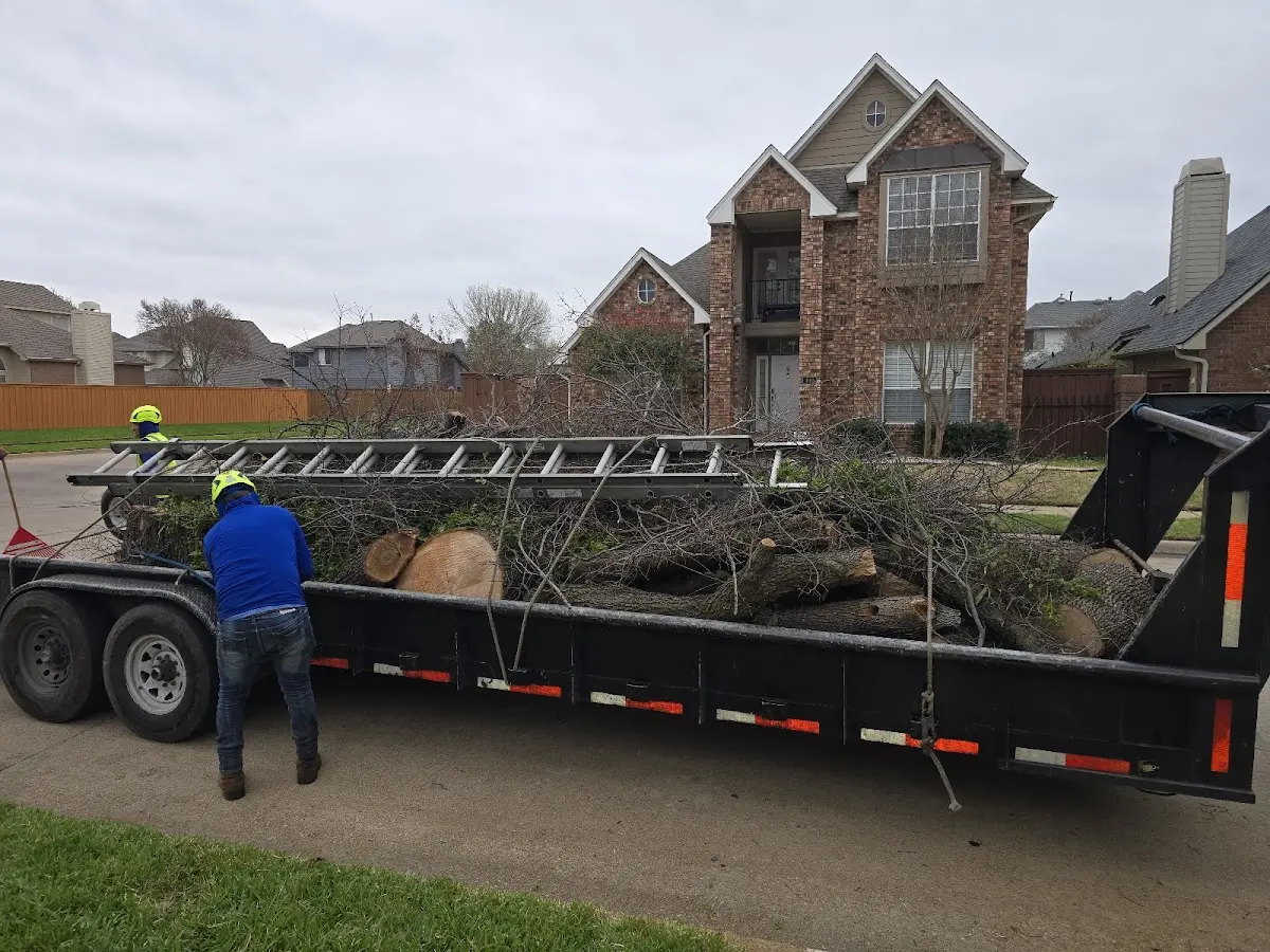 Expert Tree Removal with proper safety equipment in Reesville